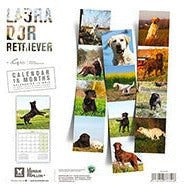 Image of Martin Sellier - Calendriers Mural 2023 De Chiens & Chats Martin Sellier - Calendrier 2023 Par Races De Chiens & De Chats - Calendrier De 14 Pages - Calendrier De 16 Mois - L'UNIVERS DES CHIENSCalendrier De Chiens & ChatsMartin Sellier - Calendriers Mural 2023 De Chiens & Chats Martin Sellier - Calendrier 2023 Par Races De Chiens & De Chats - Calendrier De 14 Pages - Calendrier De 16 MoisMARTIN SELLIERH. 30cm x l. 30 cmH. 60 cm x l. 30 cmChiens De Traineaux