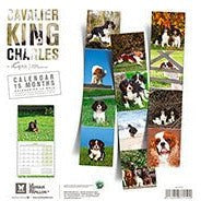 Image of Martin Sellier - Calendriers Mural 2023 De Chiens & Chats Martin Sellier - Calendrier 2023 Par Races De Chiens & De Chats - Calendrier De 14 Pages - Calendrier De 16 Mois - L'UNIVERS DES CHIENSCalendrier De Chiens & ChatsMartin Sellier - Calendriers Mural 2023 De Chiens & Chats Martin Sellier - Calendrier 2023 Par Races De Chiens & De Chats - Calendrier De 14 Pages - Calendrier De 16 MoisMARTIN SELLIERH. 30cm x l. 30 cmH. 60 cm x l. 30 cmChiens De Traineaux