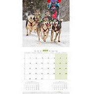 Image of Martin Sellier - Calendriers Mural 2023 De Chiens & Chats Martin Sellier - Calendrier 2023 Par Races De Chiens & De Chats - Calendrier De 14 Pages - Calendrier De 16 Mois - L'UNIVERS DES CHIENSCalendrier De Chiens & ChatsMartin Sellier - Calendriers Mural 2023 De Chiens & Chats Martin Sellier - Calendrier 2023 Par Races De Chiens & De Chats - Calendrier De 14 Pages - Calendrier De 16 MoisMARTIN SELLIERH. 30cm x l. 30 cmH. 60 cm x l. 30 cmMaine Coon