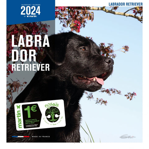 Image of Martin Sellier - Calendriers Mural 2024 De Chiens & Chats Martin Sellier - Calendrier 2023 Par Races De Chiens & De Chats - Calendrier De 14 Pages - Calendrier De 16 Mois - L'UNIVERS DES CHIENSCalendrier De Chiens & ChatsMartin Sellier - Calendriers Mural 2024 De Chiens & Chats Martin Sellier - Calendrier 2023 Par Races De Chiens & De Chats - Calendrier De 14 Pages - Calendrier De 16 MoisMARTIN SELLIERH. 30cm x l. 30 cmH. 60 cm x l. 30 cmLabrador