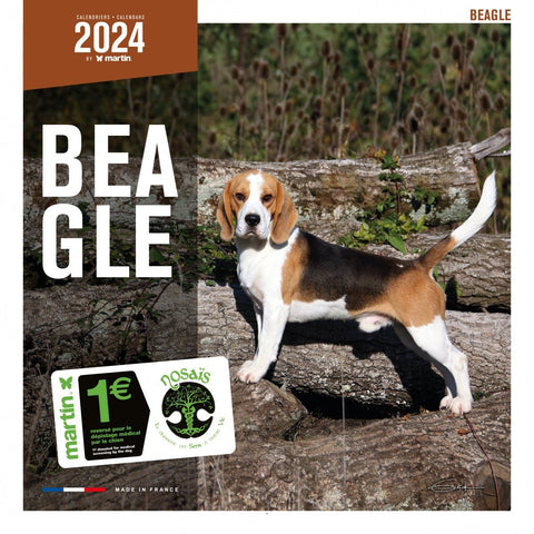 Est-ce que je dois installer un panneau attention au chien pour mon  Beagle ?
